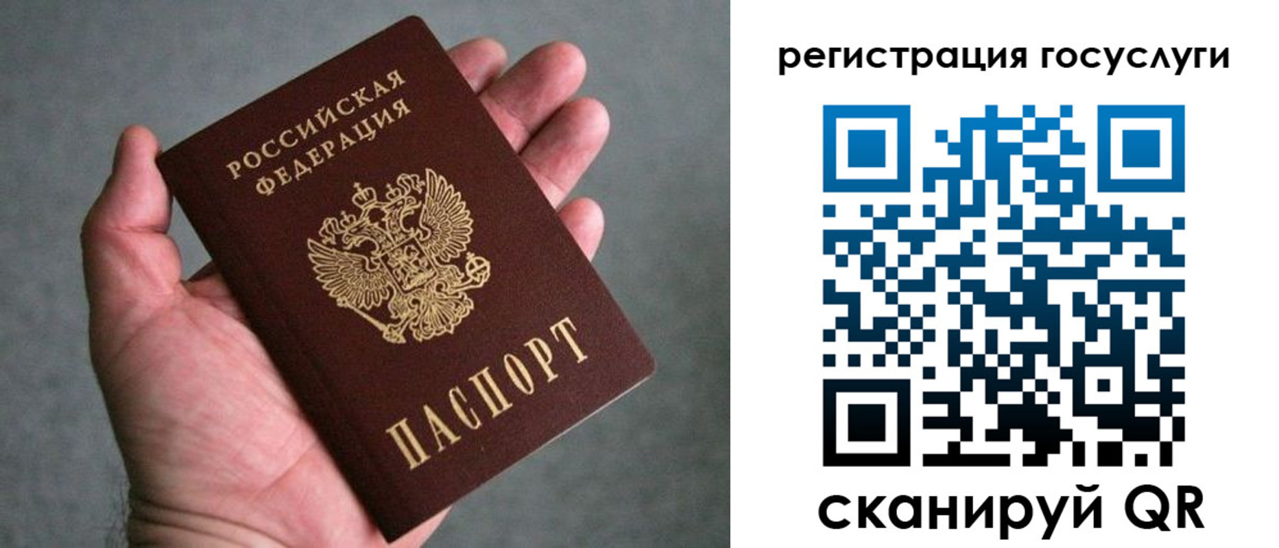 прописка поиск в Гвардейске